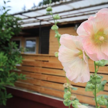 Ferienhaus Am Wald Tambach-Dietharz Eksteriør billede